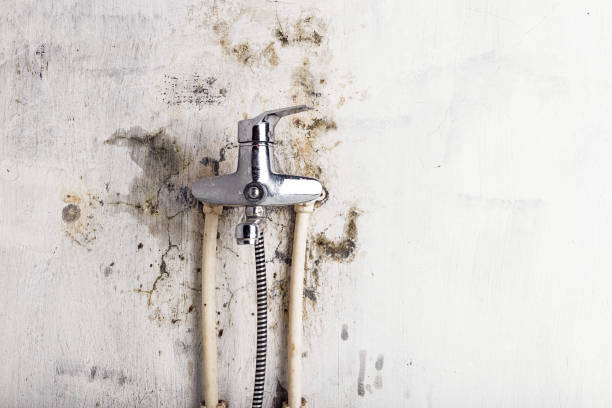 Professional Mold Remediation in Bay Point, CA