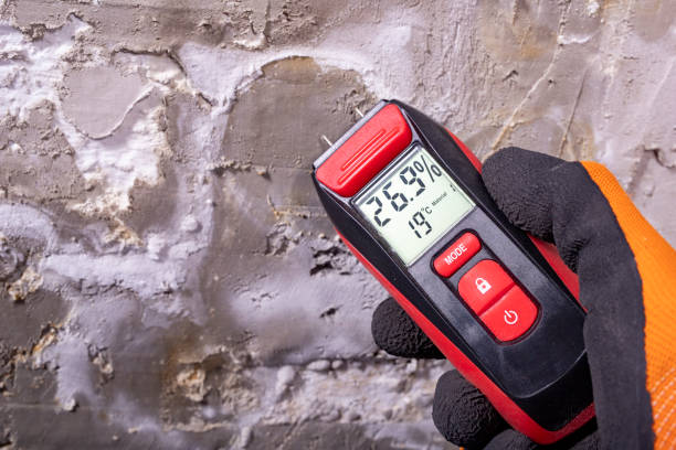 Best Mold Testing and Inspection Services in Bay Point, CA